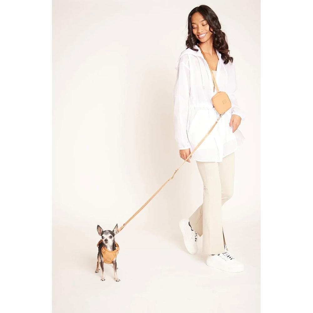 Mini GO! With Ease Hands Free Leash Light Grey - 1 Count
