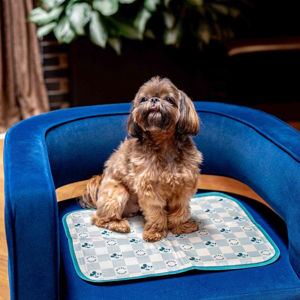 Disney Mickey Mouse Cool Pet Pad Small - 1 Count