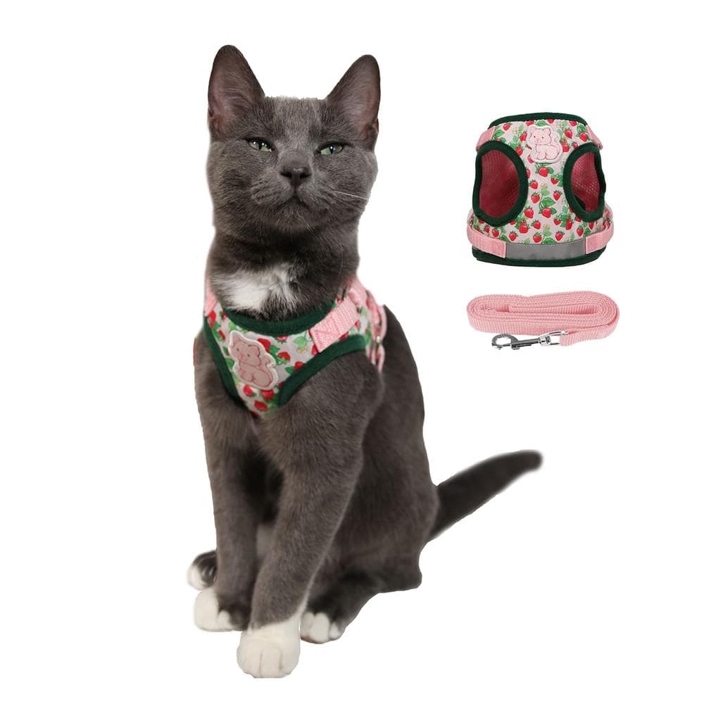 Strawberry Shortcake x Travel Cat Harness & Leash Set Medium - 1 Count