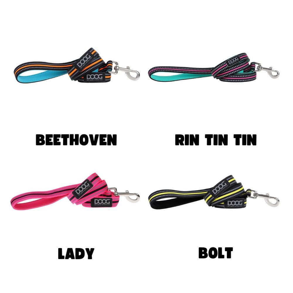 DOOG Neoprene Dog Leash NEON Large, Rin Tin Tin - 1 Count