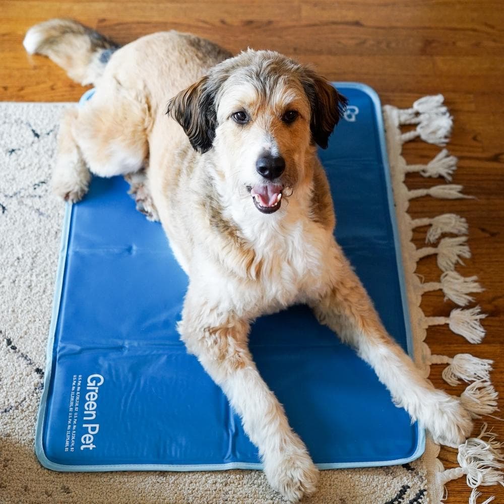 Cool Pet Pad - It's Waterless! Large (23.6"x35"), Blue - 1 Count