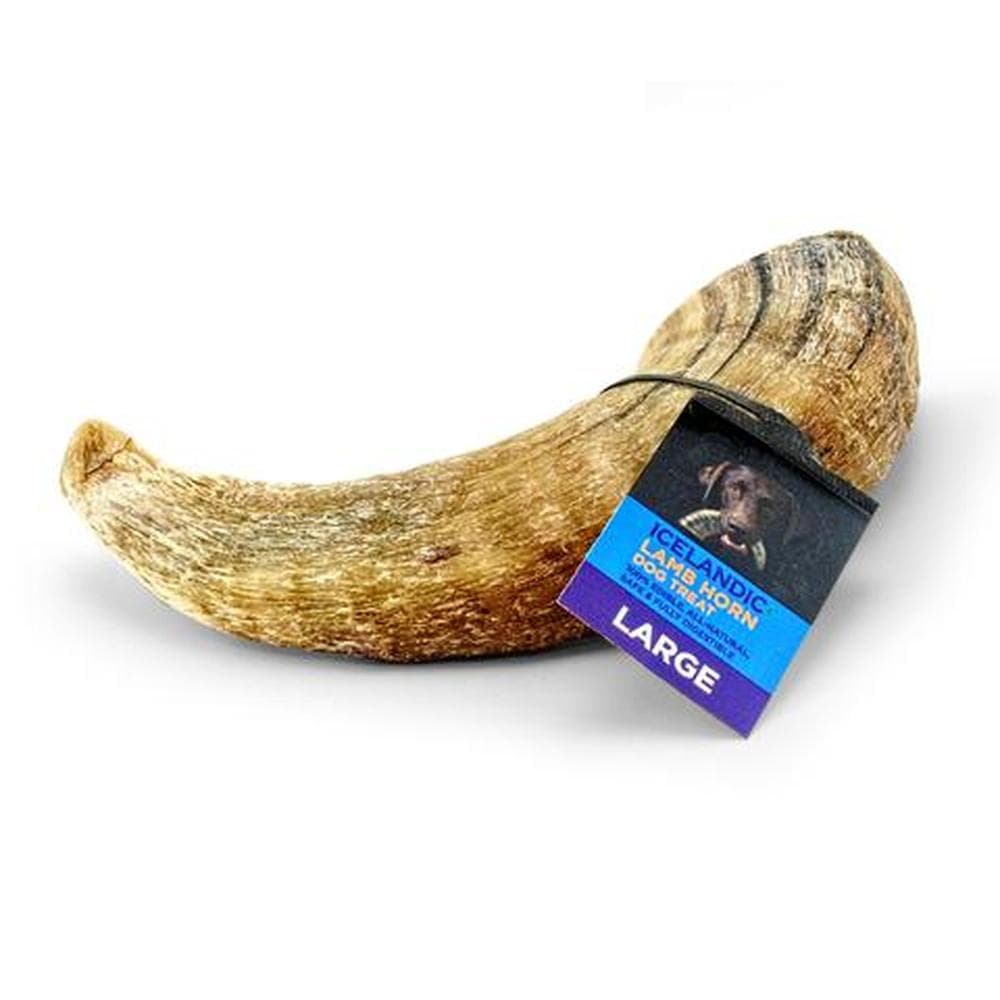 Icelandic Lamb Horn W- Marrow - Large Horn 12 Count Display (Approx 4-5")