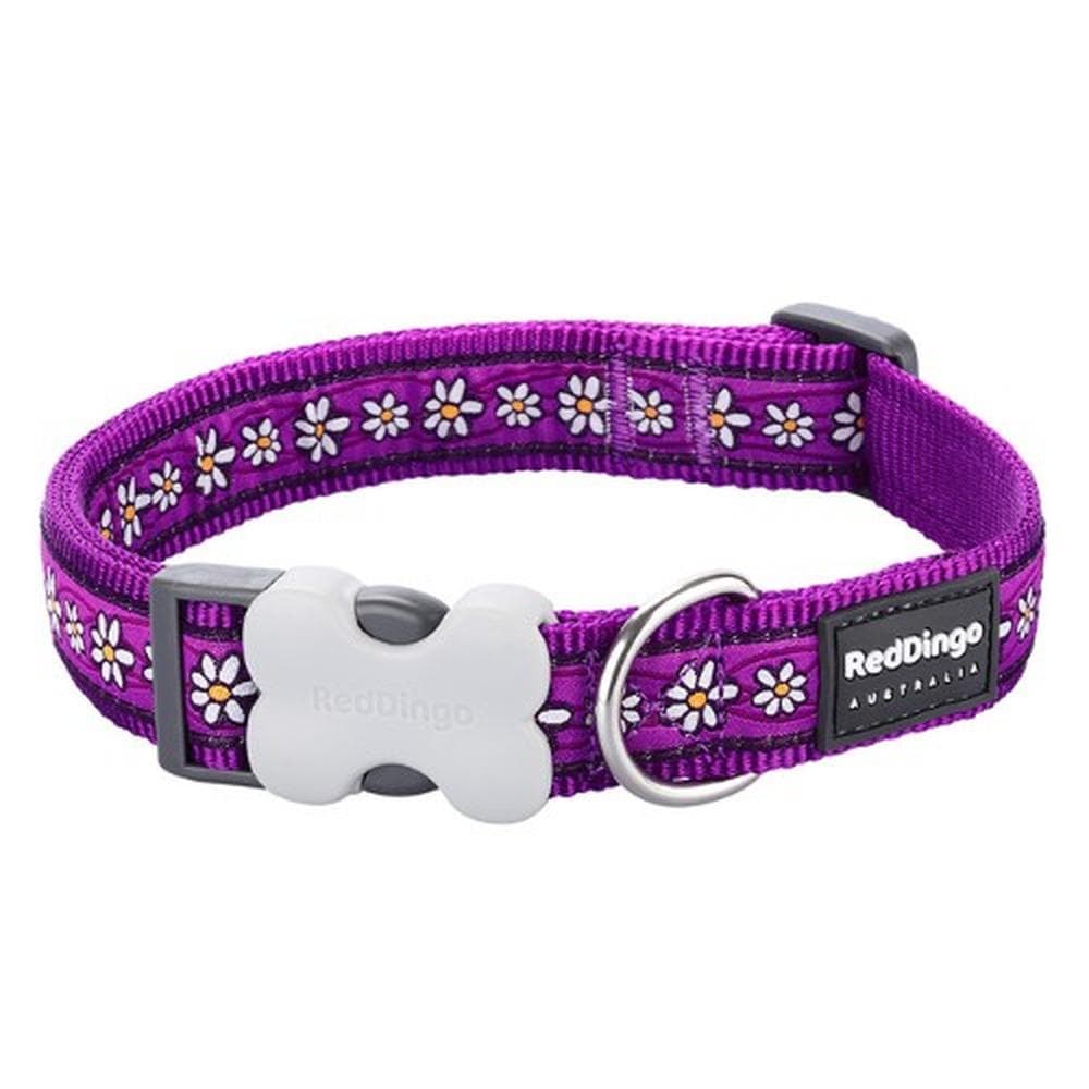 Red Dingo Daisy Chain Purple - Dog Collars, Leashes, & Harnesses Large Collar (25) - 1 Count