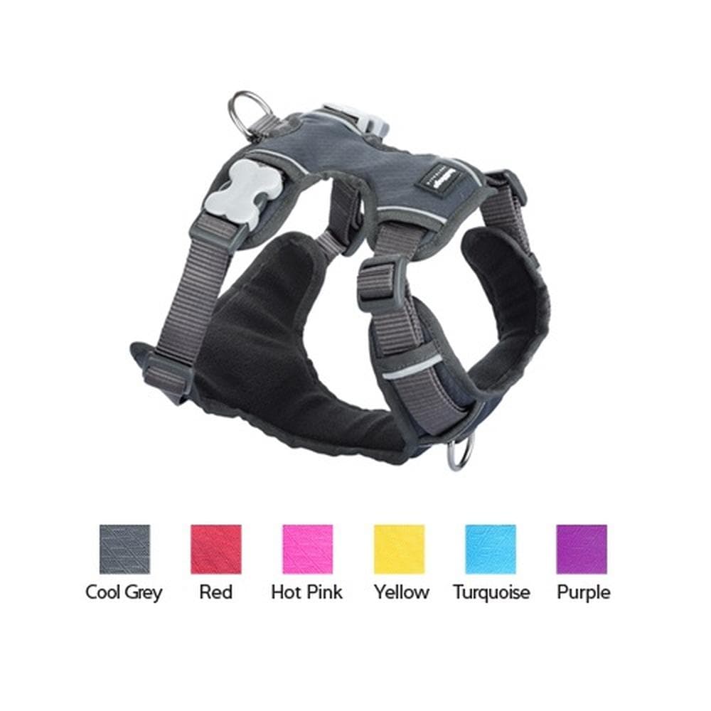 Red Dingo Padded Dog Harness - 6 Colors Small Padded Harness - See Size Chart, Turquoise - 1 Count