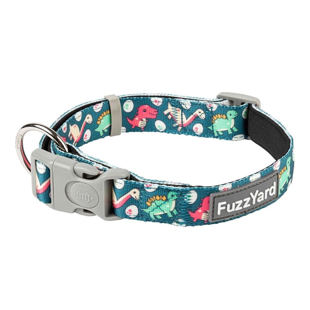 Dinosaur Land Collar and Lead Collection Medium Collar - 1 Count