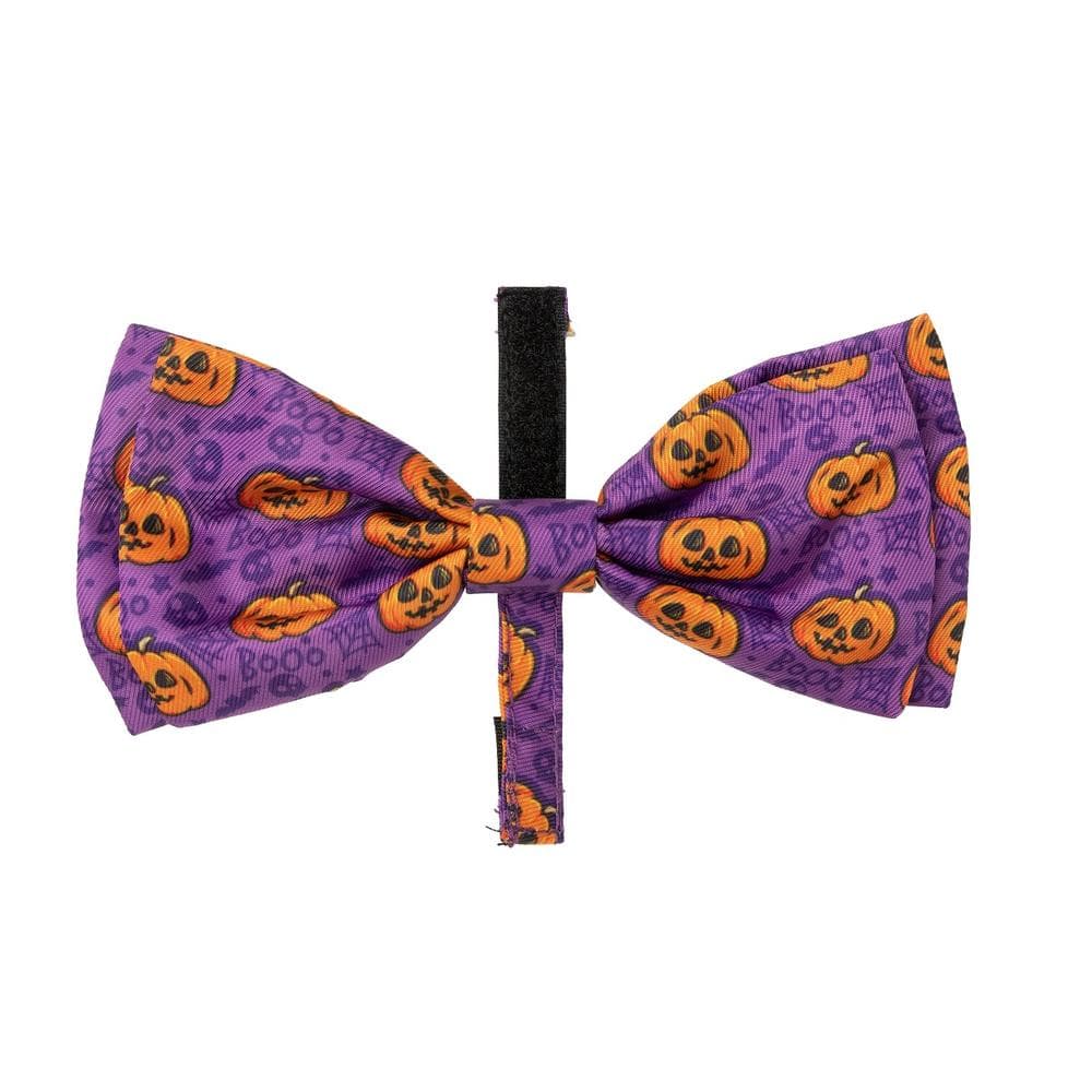 FuzzYard Bowtie Jack Jack Jackie Lantern Purple S - 1 Count