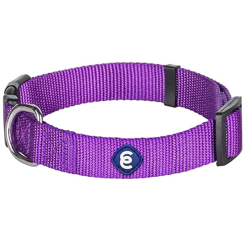 Blueberry Pet Classic Solid Color Nylon Dog Collar in Dark Orchid Medium