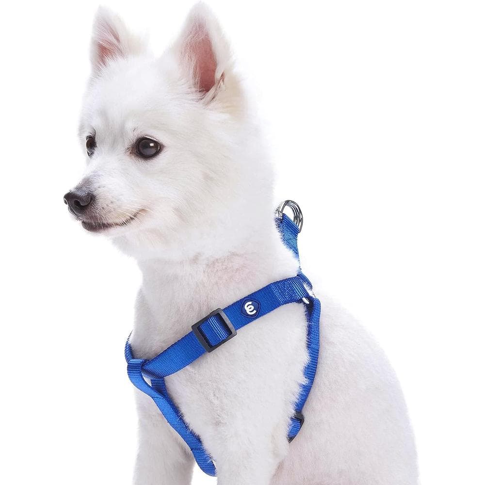 Blueberry Pet Classic Dog Harness Royal Blue Large 26"-39"