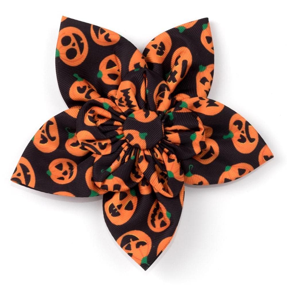 Jack-O'-Lantern Flower Large - 1 Count