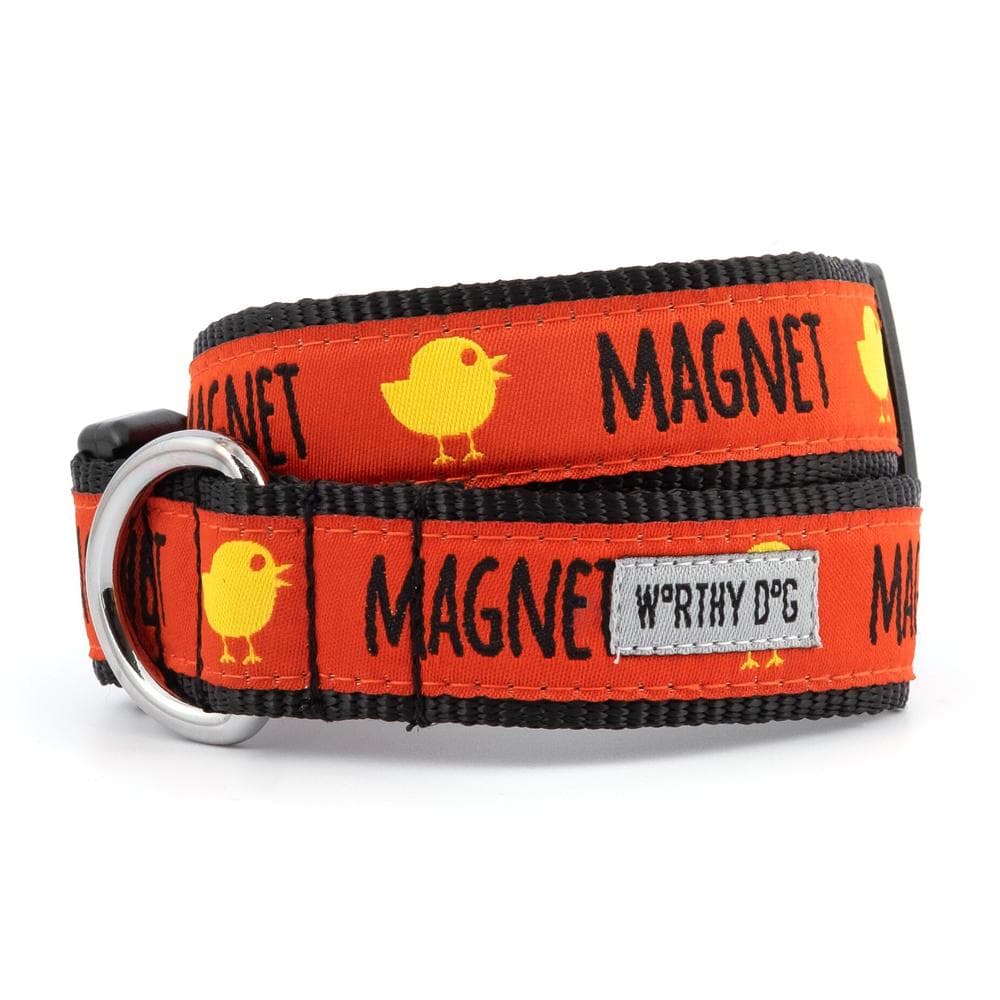 Chick Magnet Collar & Lead Collection Medium Dog Collar - 1 Count