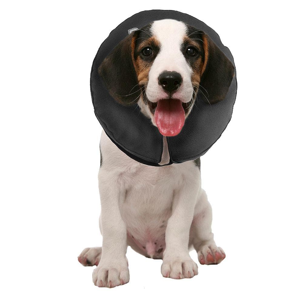 ZenPet Zencollar Inflatable Small 1 Count