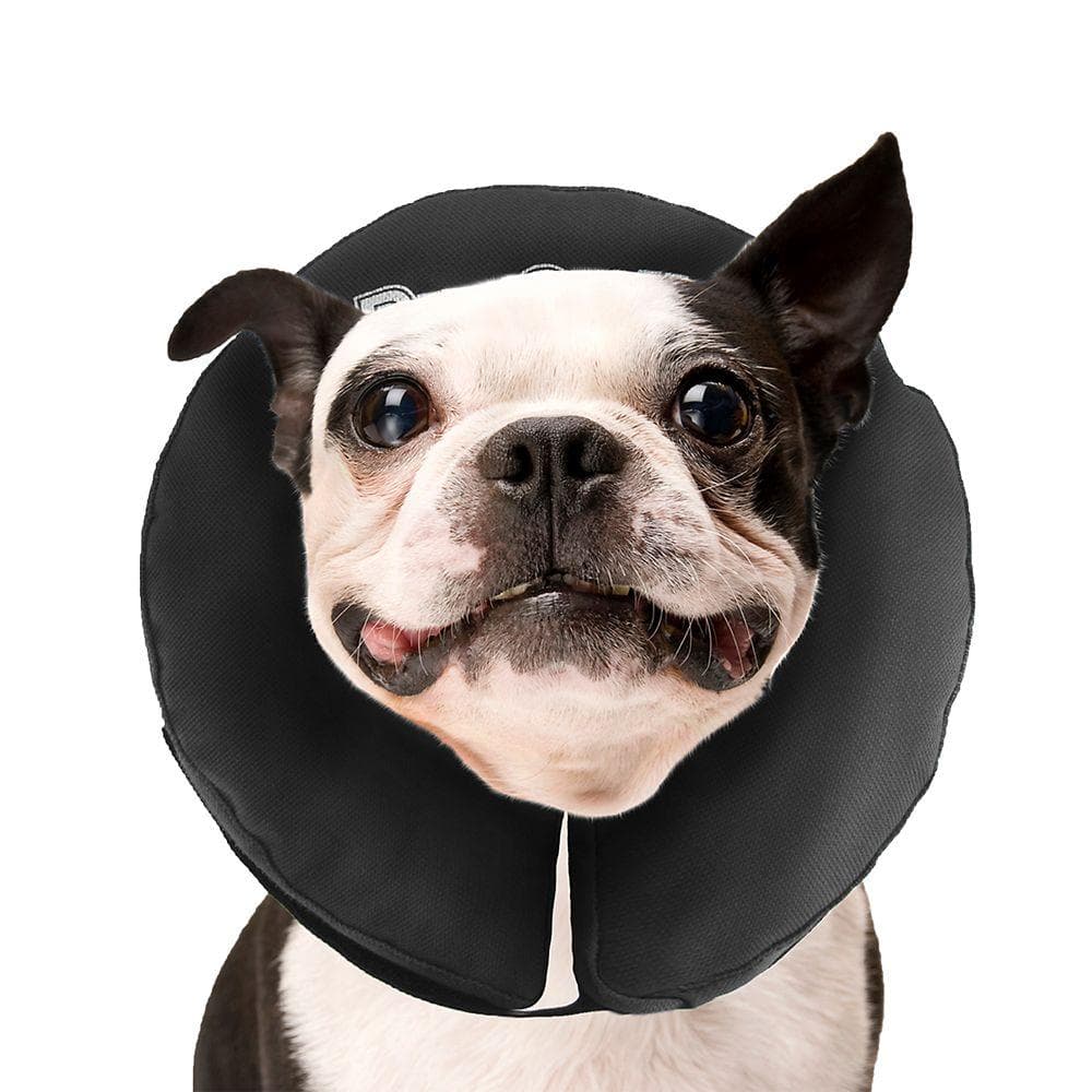 ZenPet Zencollar Inflatable Medium 1 Count
