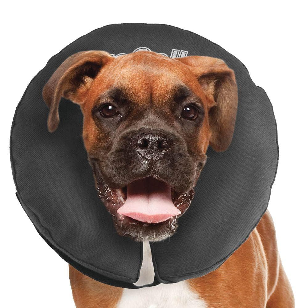 ZenPet Zencollar Inflatable Large 1 Count