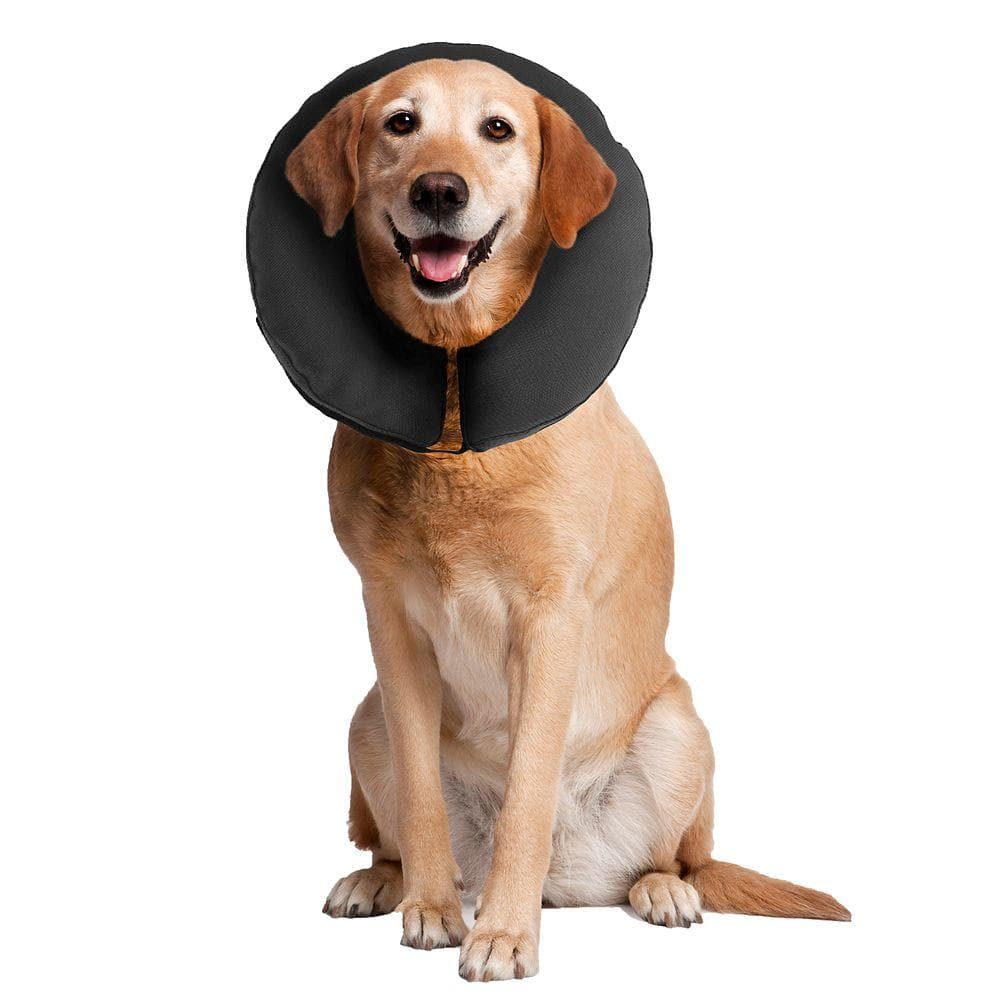 ZenPet Zencollar Inflatable XL 1 Count