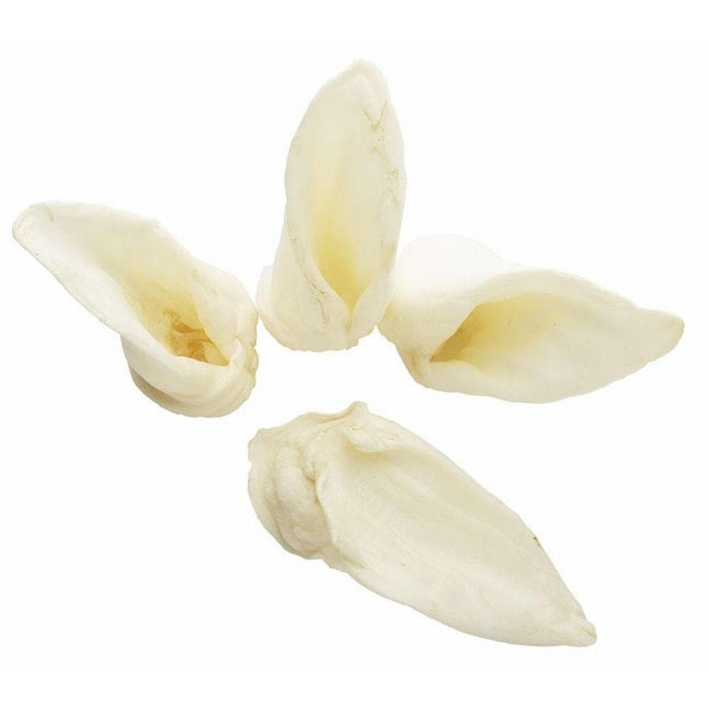 Red Barn Natural Lamb Ears 1 Count